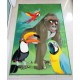 Covor Copii Brillant Gorilla 130x190 cm