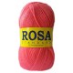 Rosa Standard 1803